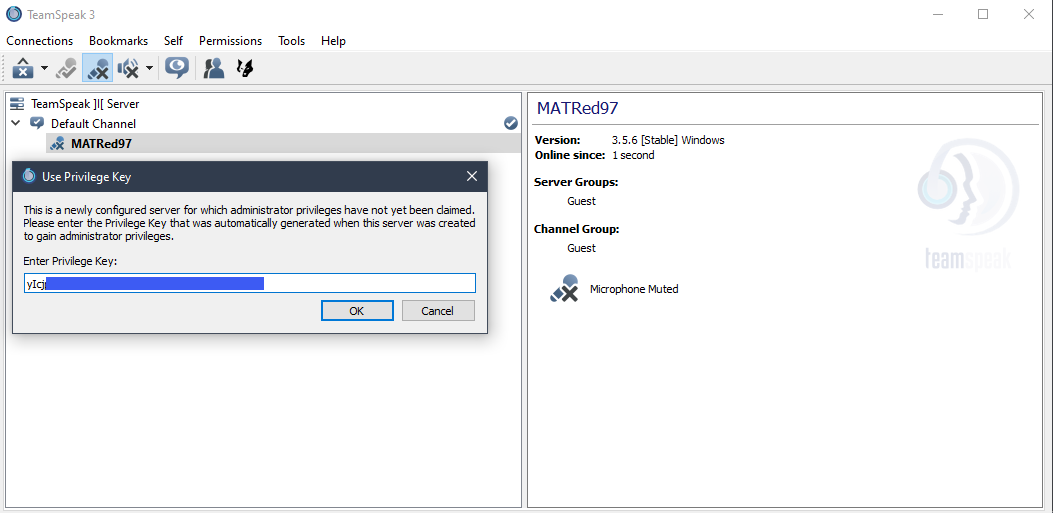Teamspeak 3 Token Popup