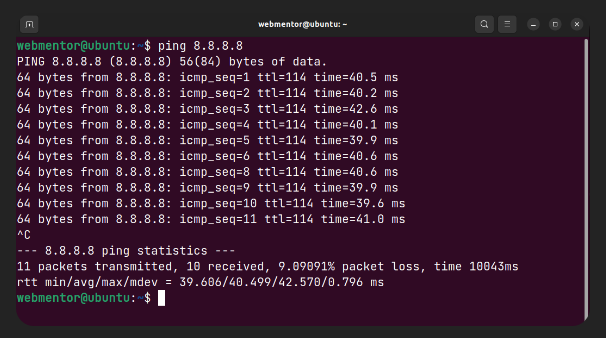 Ping Google DNS Success